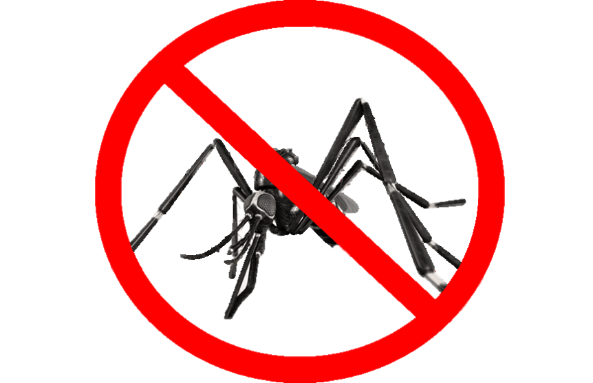 No Mosquito