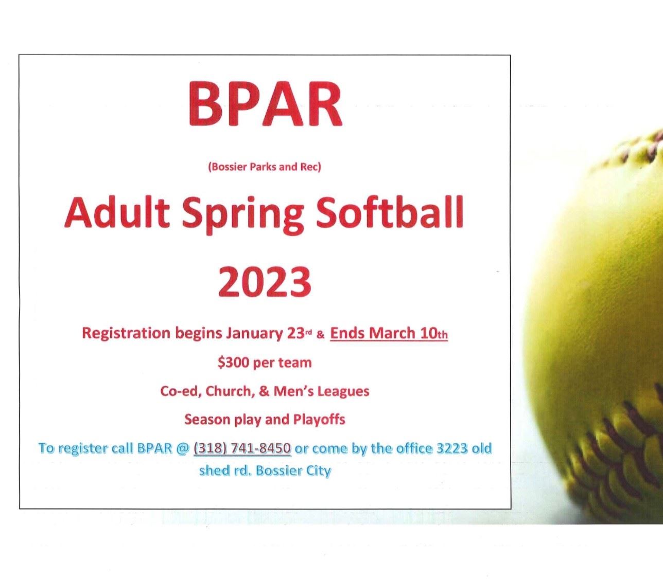 bpar softball